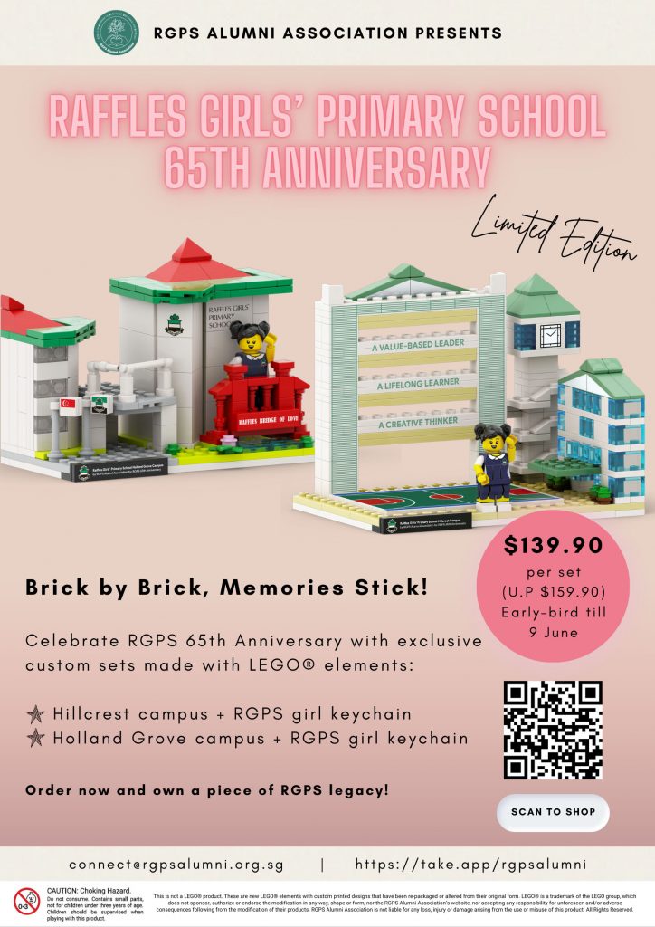 RGPS 65th Anniversary LEGO Bricks